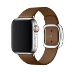 modern buckle brown