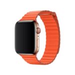 apple watch series 6