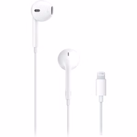 apple earpods with lightning connector earphone (mwty3am/a)